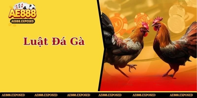 Luật đá gà