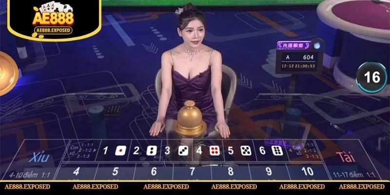 Người chơi có thể trải nghiệm cược sicbo live cực hot